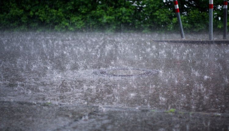 rain