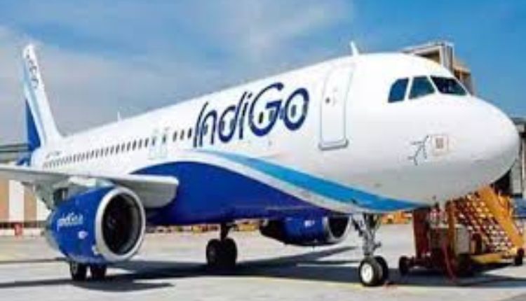 Indigo Flight