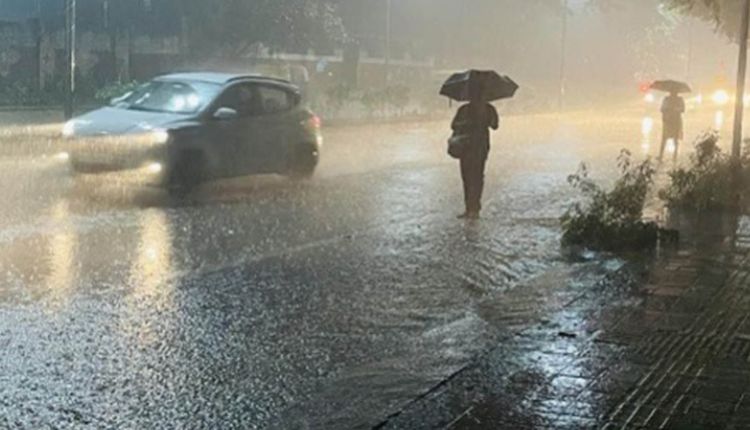 Rain Alert