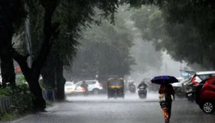 Rain