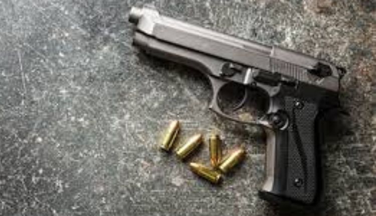 Pistols seized