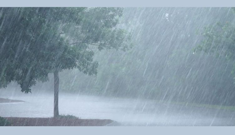 rain